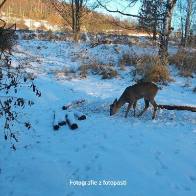 OXE Tarantula WiFi 4K (7)