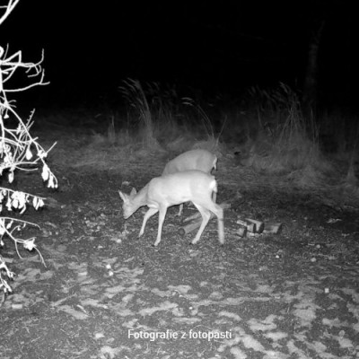 OXE Tarantula WiFi 4K (9)