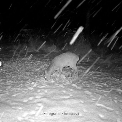 OXE Tarantula WiFi 4K (10)