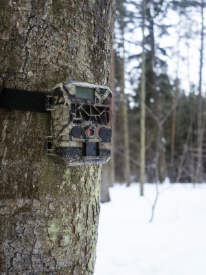 FORESTCAM Tiny + 8 GB karta zdarma